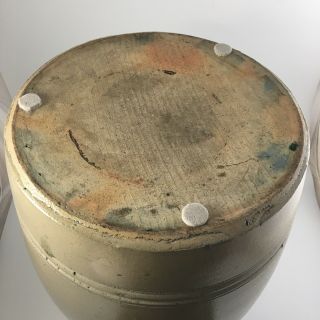AFAA 1880s Salt Glaze Stoneware Gate City VA Water Cooler Cobalt Fern 3