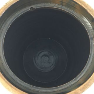 AFAA 1880s Salt Glaze Stoneware Gate City VA Water Cooler Cobalt Fern 4