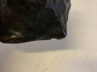 Antique Tiffany Studios Bronze Retriever Dog Head Paperweight 10