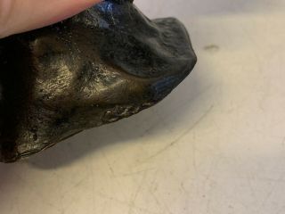 Antique Tiffany Studios Bronze Retriever Dog Head Paperweight 12