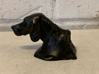 Antique Tiffany Studios Bronze Retriever Dog Head Paperweight 2