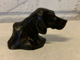 Antique Tiffany Studios Bronze Retriever Dog Head Paperweight 4