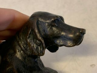Antique Tiffany Studios Bronze Retriever Dog Head Paperweight 8