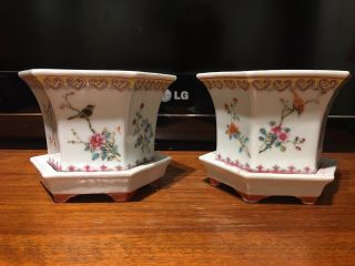 C.  20th - Vintage Chinese Birds And Flowers Porcelain Planter Pot Qianlongnianzhi