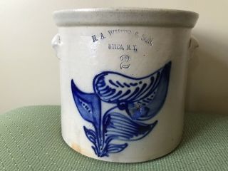 N.  A.  White & Son Utica Ny 2 Gallon Crock Cobalt Blue Foliage Design 1885