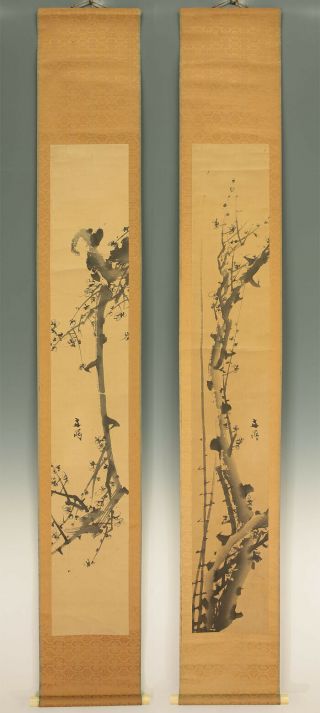 掛軸1967 Japanese Hanging Scrolls : Tani Buncho " Ume Tree " @b550