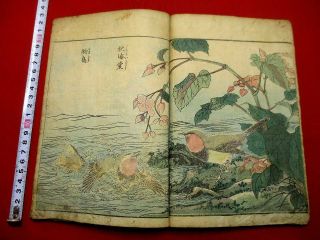 1 - 5 Kacho Zue Japanese Bird Woodblock Print Book
