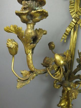 Antique Early 20th Century Louis XVI Style Ormolu Acanthus Wall Sconce 3