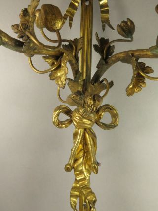 Antique Early 20th Century Louis XVI Style Ormolu Acanthus Wall Sconce 5