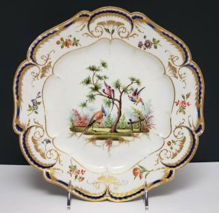 18th C Antique Sevres Porcelain Plate W Birds 1763