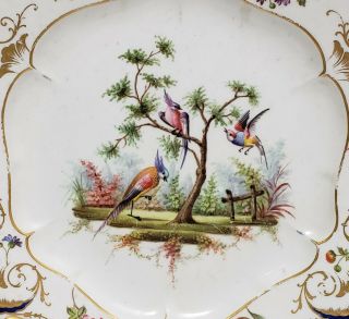 18th c Antique Sevres Porcelain Plate w Birds 1763 2