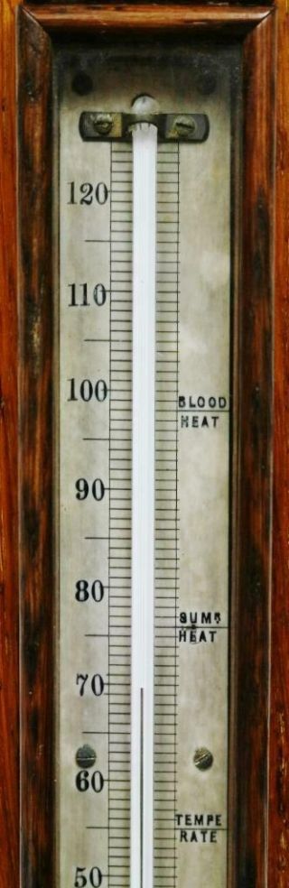 Antique Scottish Solid Oak Stick Wall Barometer & Thermometer,  J.  Buist Edinburgh 5