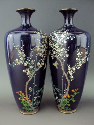 IMPRESSIVE Japanese Antique Oriental Cloisonne Enamel Vase - Meiji 2