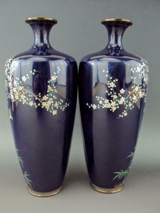 IMPRESSIVE Japanese Antique Oriental Cloisonne Enamel Vase - Meiji 4