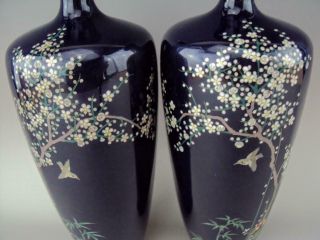 IMPRESSIVE Japanese Antique Oriental Cloisonne Enamel Vase - Meiji 6