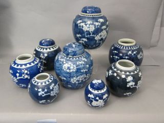 8 Antique Chinese Porcelain Blue And White Prunus Items: Jars,  Vase,  Bowl E.  G.