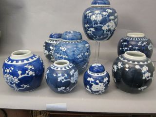 8 ANTIQUE CHINESE PORCELAIN BLUE AND WHITE PRUNUS ITEMS: JARS,  VASE,  BOWL E.  G. 6