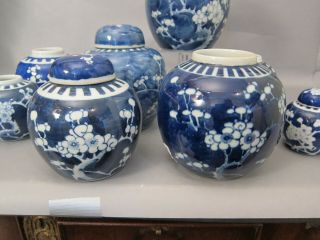 8 ANTIQUE CHINESE PORCELAIN BLUE AND WHITE PRUNUS ITEMS: JARS,  VASE,  BOWL E.  G. 8