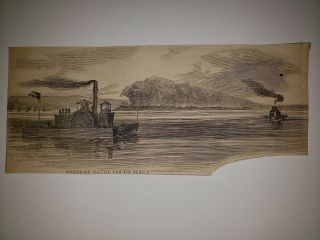 Confederate Rebels Crossing Cattle Mississippi River Civil War 1862 Hw Sketch