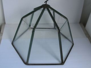 Antique French Metal And Glass Cloche Garden Greenhouse 1920 