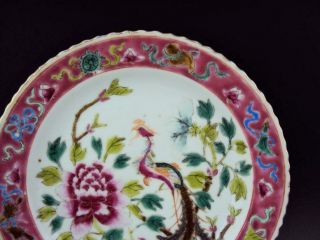 Hall Marked,  19.  5cm Chinese Peranakan Nyonya Straits Plate Porcelain Antiques 2