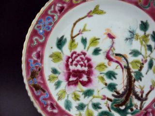 Hall Marked,  19.  5cm Chinese Peranakan Nyonya Straits Plate Porcelain Antiques 3