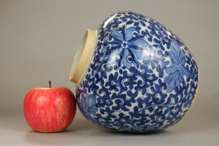 5: A Large Chinese Blue & White Scrolling Lotus Ginger Tea Jar Vase 19th/20thc