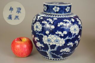 4: A Large Chinese Blue & White Prunus Ginger Tea Jar Vase Kangxi Mrk 19th/20thc