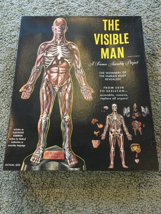 Vintage 1959 Science Toy The Visible Man By Renwal,  Still Inside Box