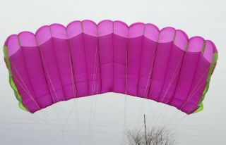 Raven Ii (218 Sq Ft) 7 Cell F111 Skydiving Reserve Parachute - Dacron Lines