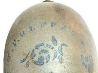 RARE T.  F.  Reppert,  Greensboro,  PA 1 Gallon Salt Glazed Stoneware Jug with Fish 9