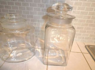 Two Antique Large Apothecary Counter Jars and Glass Stoppers W.  T.  Co.  1901 - 1924 2