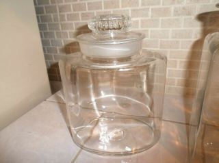 Two Antique Large Apothecary Counter Jars and Glass Stoppers W.  T.  Co.  1901 - 1924 6