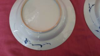 Two Chinese Late 18th Century Blue & White Stork and Insect Decorated Plates 11