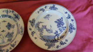 Two Chinese Late 18th Century Blue & White Stork and Insect Decorated Plates 3