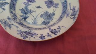 Two Chinese Late 18th Century Blue & White Stork and Insect Decorated Plates 8