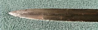 Antique U.  S.  Civil War M1850 Officers Etched Saber Sword with Scabbard Horstmann 10