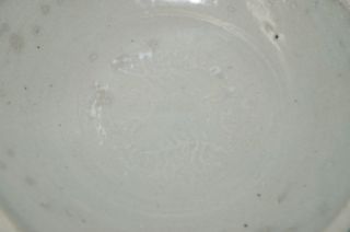 Song dynasty qingbai white glaze dish with two fish motif B - 64 2