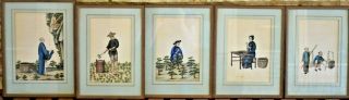 5 Antique Chinese Gouache Hand Painted Tea Cultivation Process Scene Paintings