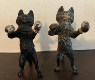 Antique Cold Painted Vienna Bronze Two Cats Boxing 2