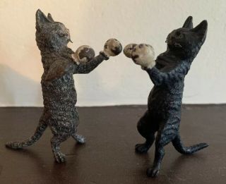 Antique Cold Painted Vienna Bronze Two Cats Boxing 6