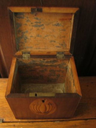 Antique Georgian Inlaid Tea Caddy 4 1/4 