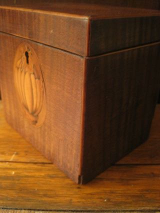 Antique Georgian Inlaid Tea Caddy 4 1/4 