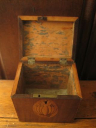 Antique Georgian Inlaid Tea Caddy 4 1/4 
