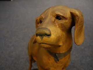 Antique Black Forest Carved Wood Saint Bernard Dog - Brienz - Walnut Wood Carving
