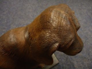 ANTIQUE BLACK FOREST CARVED WOOD SAINT BERNARD DOG - BRIENZ - WALNUT WOOD CARVING 8