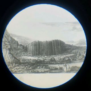 Very Fine Antique Microscope Microphotograph Slide " Giant 