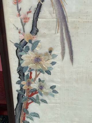Huge Antique Chinese Silk Panels With Birds And Rosewood Frames 10