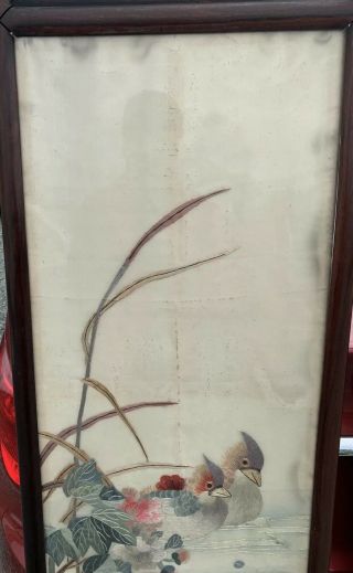 Huge Antique Chinese Silk Panels With Birds And Rosewood Frames 2