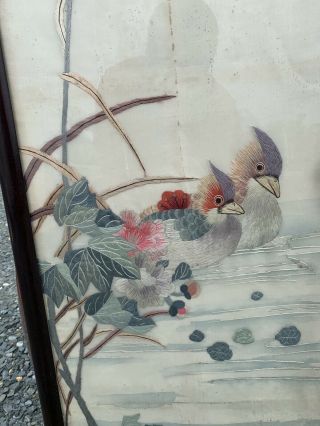 Huge Antique Chinese Silk Panels With Birds And Rosewood Frames 3